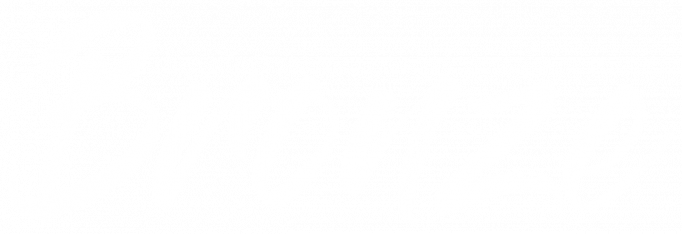 big-logo